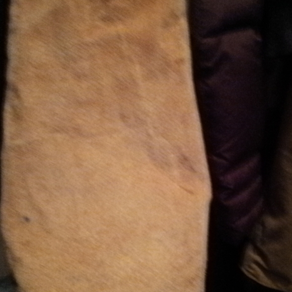 Jacket - Picture 3 of 4